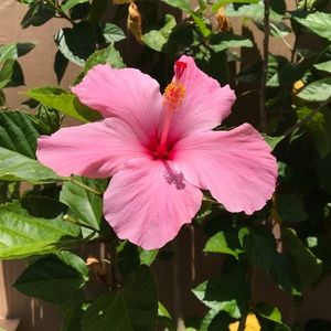 Meet your Posher, Kellie